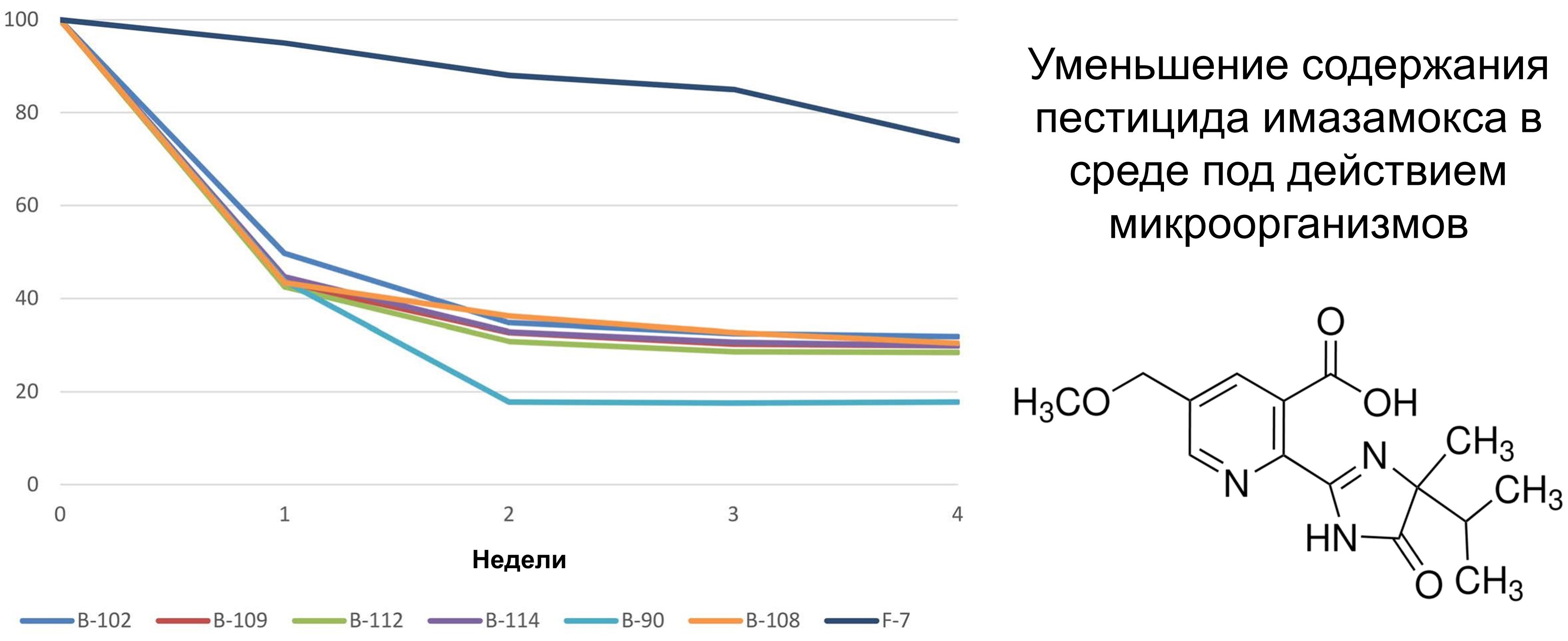 perspektivy-primeneniya-mikroorganizmov-v-bioremediatsii-pochv-_p97154