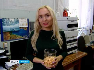 Линию по производству уникального вещества из лиственницы запустили учёные в Иркутске